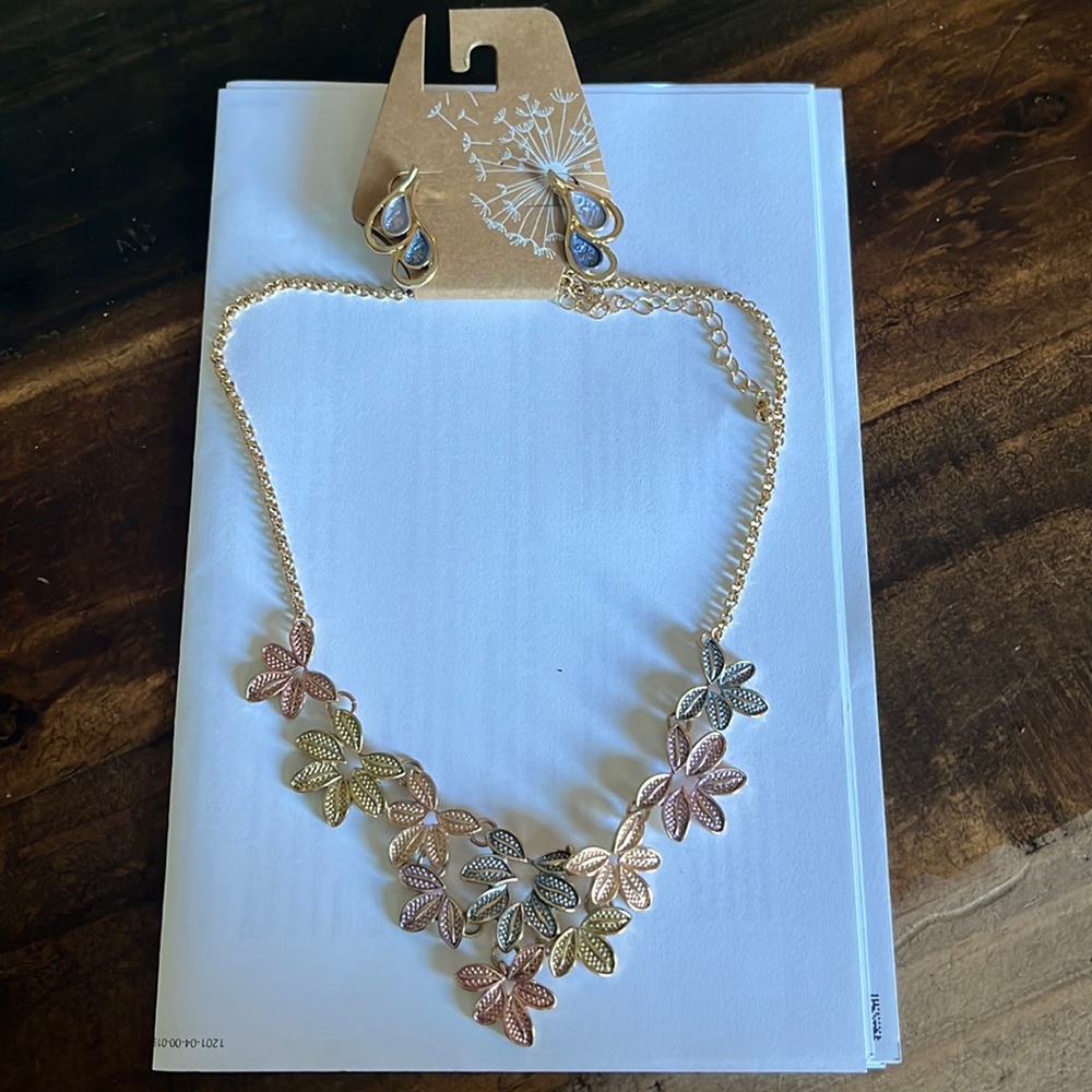 New earrings and necklace set